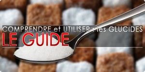 Comprendre et utiliser les glucides