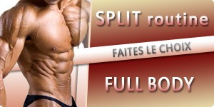 Comment créer un programme de musculation